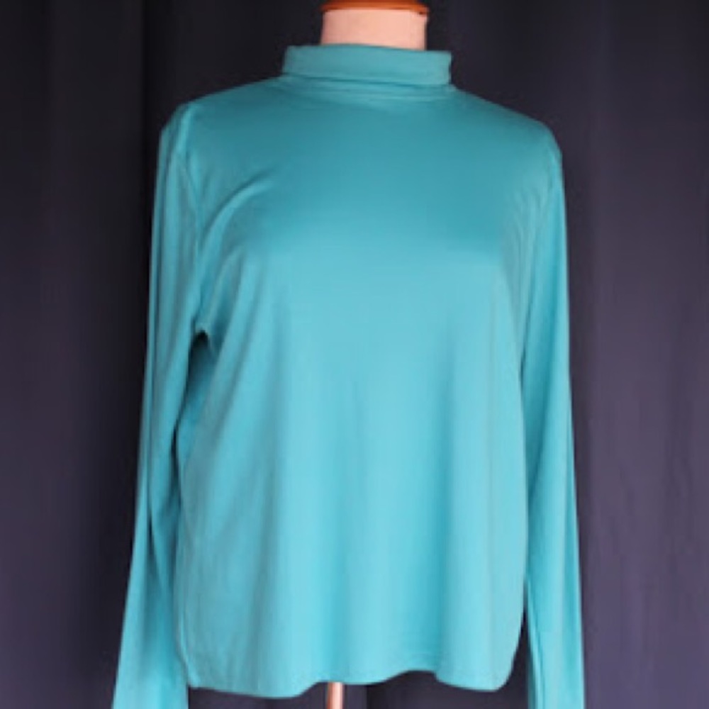 XL NWT Azure Pima long sleeve turtleneck.